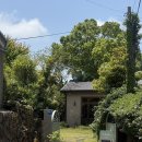 당근상회 | 제주 구좌 카페 구좌상회 당근케이크