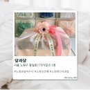 달과담 | [노원] 노원과일바구니 달과담 솔직후기