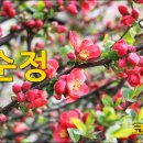 가야무도장 이미지