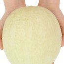 지연농장 이미지