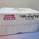 진도 아라 전복 이미지