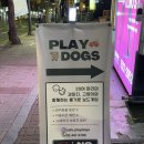 플레이독스 | 서울 애견 카페 건대 플레이독스 후기(+보드게임)