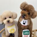 오몽오몽 네이버블로그