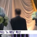 점점 늘고있다는 NO 웨딩 결혼생활 이미지