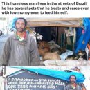 동물을사랑하는사람들 이미지