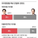국힘 지지층선 金문수 31% 韓덕수 65%…민주 지지층선 金 45% 韓 19%...한덕수, 김문수 회동 전 긴급 기자회견 이미지
