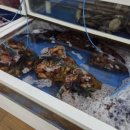 남경수산 이미지