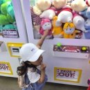 TOY인형뽑기 이미지