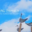 전북특별자치도 산림박물관 이미지