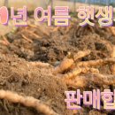 김원섭농장 이미지