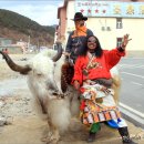 해와 달의 마음 이미지