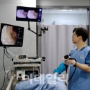 엔도메드 이미지