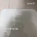 2021-주169 | 마운자로 체중감량 후기 효과 내돈내산 찐후기