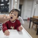 주식회사 영주청정한우 | 13개월 손자 [제주2박3일]식단총정리![마미포유]유아식 후기!