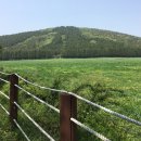 물영아리오름 이미지