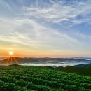 오자의마법사 - 화성시 | 오자의마법사