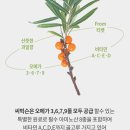 워나F&C 네이버블로그