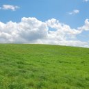 완월동248 이미지