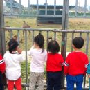 배영농장 이미지