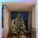 하나 | 크리스마스트리 어디서 사야하나? 솔직 후기와 꿀팁