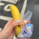 선우공원 족구장 화장실 | 2026 Run your way 하프마라톤 후기