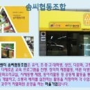 다문화센터협동조합 이미지