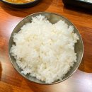 (주)상상초월 | 초월 맛집 &#39;우마주 초월점&#39; — 고기가 입에서 녹아요🤤