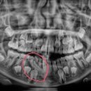 e-아름다운치과의원 이미지