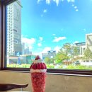 씨유 동해대동점 | 동해카페 카펠라 딸기파르페 쑥카페라떼 봄의향기 내돈내산 후기