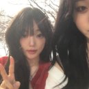 선일 이미지