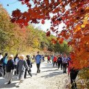 농협원대동 이미지