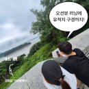 불은면-5 | 강화나들길 2코스 러닝｜초지진·덕진진·광성보 10km 코스 후기