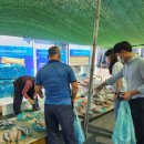 울진시장 매일신문