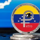 페트로(PETRO) 네이버블로그
