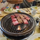왕갈비둥지