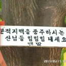 송원고등학교 이미지