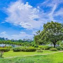 보라매공원 이미지