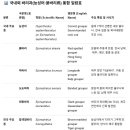 능성어류 및 붉바리류 일람표 이미지