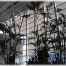 야자수정원 이미지