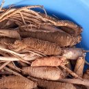 내일재래시장 이미지