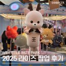 라이즈북 | 2025 리틀 라이즈 파크 팝업 후기
