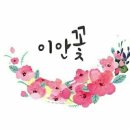 이안도매 이미지