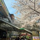 증심사뚱돼지숯불갈비 이미지