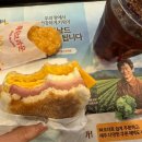 태운케어