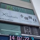 울산 병영 미용실 :: 수아하다 병영점 염색 후기