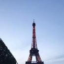 센느약국 이미지