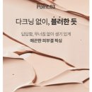 스킨에어리 이미지