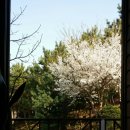 녹수와 청산의 집 이미지