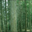 갈천농장 이미지