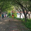 산정체육공원 이미지